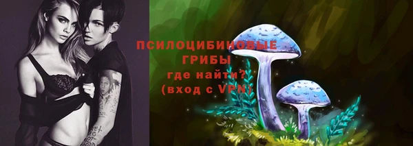 амф Белоозёрский