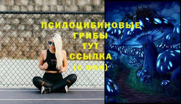 амф Белоозёрский