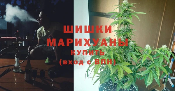 COCAINE Белокуриха